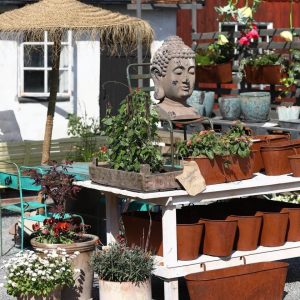 Stort patinerat buddahuvud