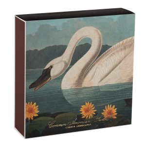 Tändstickor The Common American Swan by Audubon
