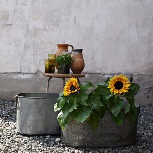 Zinkkärl ovalt vintage