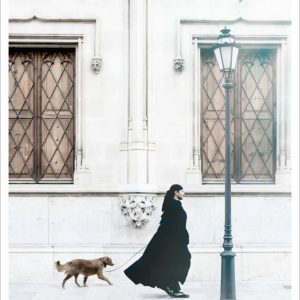 The man and the dog
