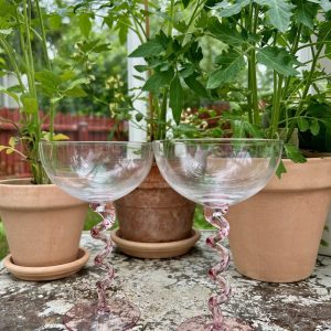 Coupe spiral pink 2-pack